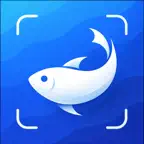 FishScan: AI Fish Identifier iOS Icon
