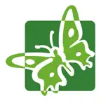 Asia Benevento iOS Icon