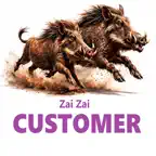 Zai Zai User icon