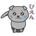 Kawaii Scottish fold Stickers iOS Icon