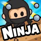 Boing Ninja iOS Icon