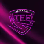 Savannah Steel iOS Icon