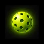 PickleLog Icon