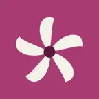 everything.hk iOS Icon