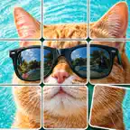 Jigsaw Card Solitaire:Animated iOS Icon