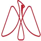 Cardinal Study iOS Icon