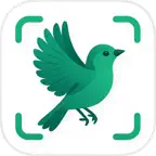 Bird Identifier: Birdly iOS Icon