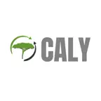 CALY - Expert-Comptable iOS Icon