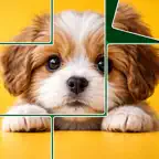 Jigsaw Snap Solitaire Puzzle iOS Icon