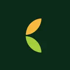 Core App iOS Icon