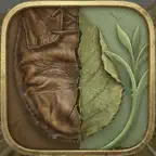 Decay. iOS Icon
