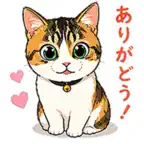 Sora s Everyday Stickers iOS Icon