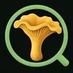 Mushroom ID: Forager Guide iOS Icon