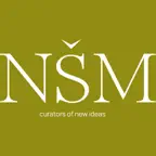 NSM B2B iOS Icon