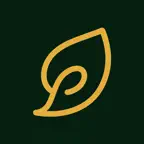 Tea Brewing Master iOS Icon