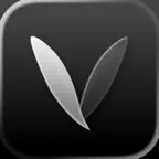 Veil - Personal Photo Walls iOS Icon