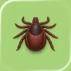 Tick Checker: TickSight iOS Icon