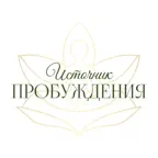 Источник пробуждения iOS Icon