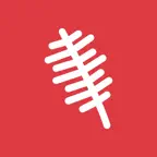 MusaFlow iOS Icon