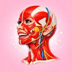 FEMALE 3D ANATOMY iOS Icon