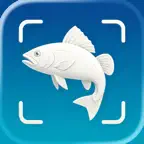 Fish Identifier: Fishly iOS Icon