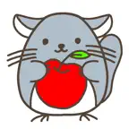ChinchillaMinny4 iOS Icon