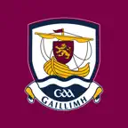 Galway GAA Official iOS Icon