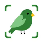 BirdSnap: Bird identifier iOS Icon