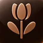 allarobul.store Icon
