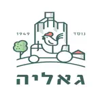 בריכת גאליה iOS Icon