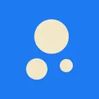 Pomelo: Currency Converter Icon