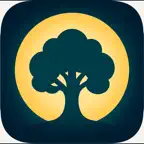 Dreamtica – AI Dream Journal iOS Icon