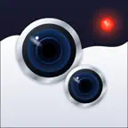 DuoSnap - Dual Shot Camera iOS Icon