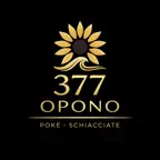 377 OPONO iOS Icon