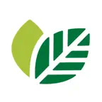 Buchholz App iOS Icon