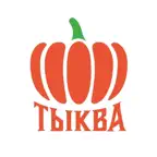Тыква Фуд iOS Icon