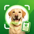 Dog Breed Identifier by Image iOS Icon