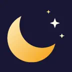 Dark Mode Extension iOS Icon