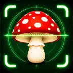 Mycovela - Mushroom Identifier iOS Icon