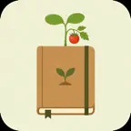 Veggie Note Icon