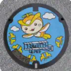 Manhole Card Map Icon