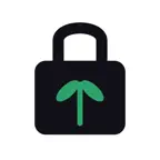 Lockin Focus - Timed App Lock iOS Icon