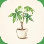 Planti - Effortless Watering iOS Icon