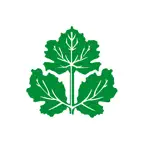 Кинза | доставка СПб iOS Icon