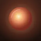 Lumi: Period & Ovulation iOS Icon