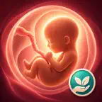 Birth Log: Midwife OBGYN iOS Icon