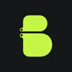 Budicheck by TheVR icon