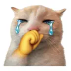 Silly Goofy Dip Catto iOS Icon