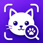 Cat Identifier - Breed Scanner iOS Icon