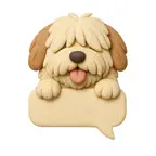Sapsal iOS Icon